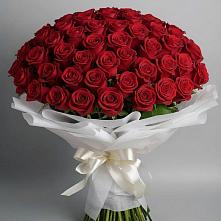 Букет 101 Красная роза Блэк Мэджик в Почепе