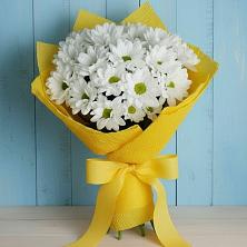 Букет цветов из:  Хризантемы в Почепе