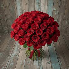 Букет 55 Красных роз Фридом #REPLACE_PRED# Почепе