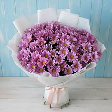 Букет цветов из:  Хризантемы в Почепе