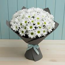 Букет цветов из:  Хризантемы в Почепе