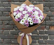 Букет цветов из:  Хризантемы в Почепе