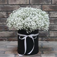 Цветочная композиция из Гипсофила в шляпной коробке в Почепе