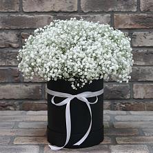 Цветочная композиция из Гипсофила в шляпной коробке в Почепе