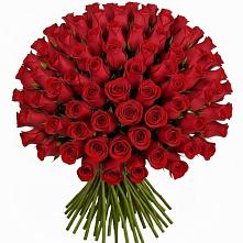 Букет Красные розы Чери Лав в Почепе