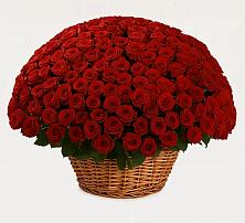 Премиум букет из: Розы в Почепе