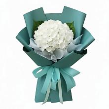 Букет цветов из:  Гортензия в Почепе